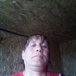 ˸��, 47 ���, ������