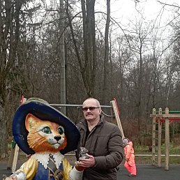 ���� ������, ����, 37 ��� - ��������� 3 ������ 2026