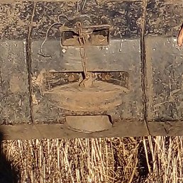 ������, ������, 53 ����