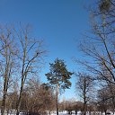 ���� �������, ���� - ��������� 11 ������� 2026