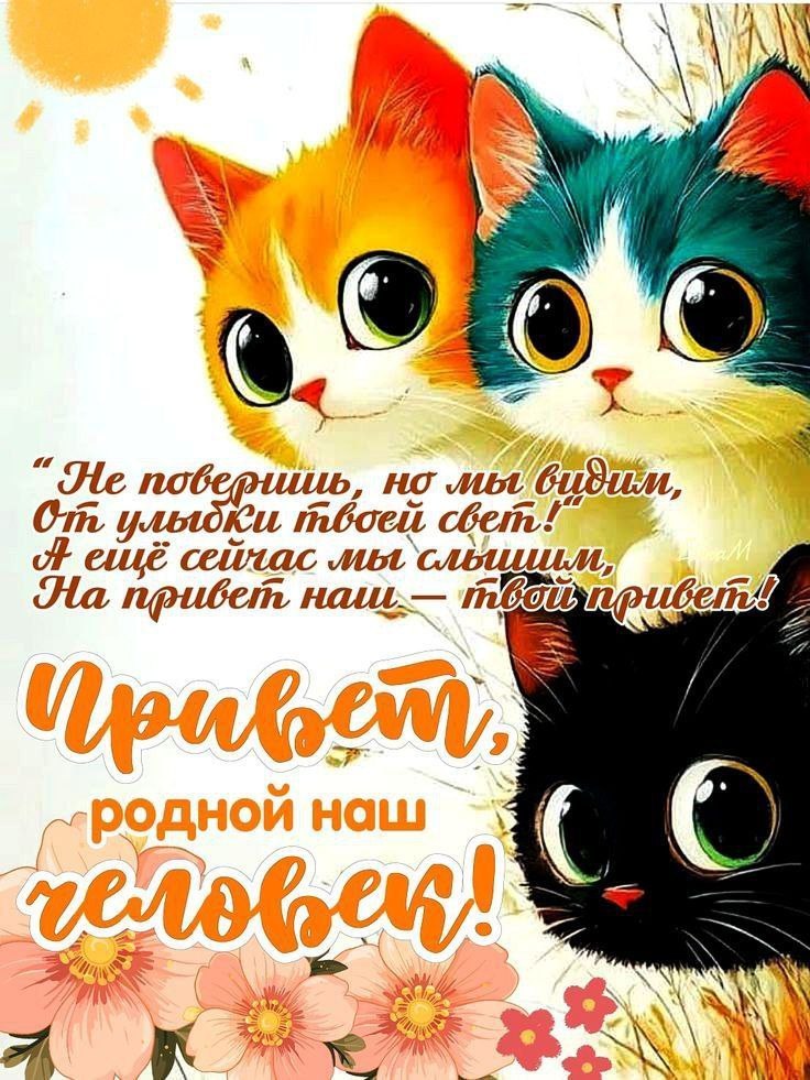   ,    . - 8  2025  13:24