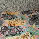 ���� �����, ������, 49 ��� - ��������� 9 ������ 2026 � ������ ���� ����������