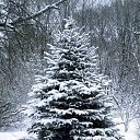 ���� �������, ���������, 45 ��� - ��������� 6 ������� 2025 � ������ ���� ����������