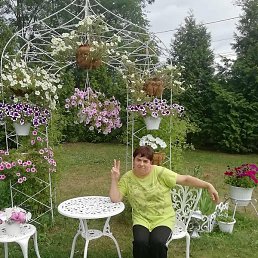 �������, ������, 51 ���