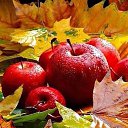 ���� �����, ����������� - ��������� 30 ������� 2025 � ������ ���� ����������