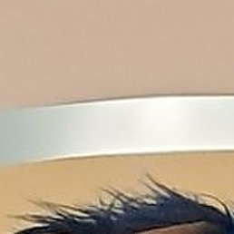 �������, ��������, 53 ����