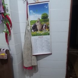 ���, ���������, 42 ����