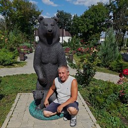 ������, ���������, 64 ����