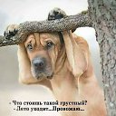 ���� �������, ��������� - ��������� 6 �������� 2025 � ������ ������ ��������
