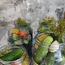 ���� Svetlanna, ������������ - ��������� 14 �������� 2024 � ������ ���� ����������