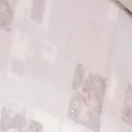 ������, ������, 45 ���