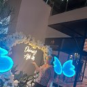 ���� �����, ������, 53 ���� - ��������� 20 ������� 2025 � ������ ���� ����������
