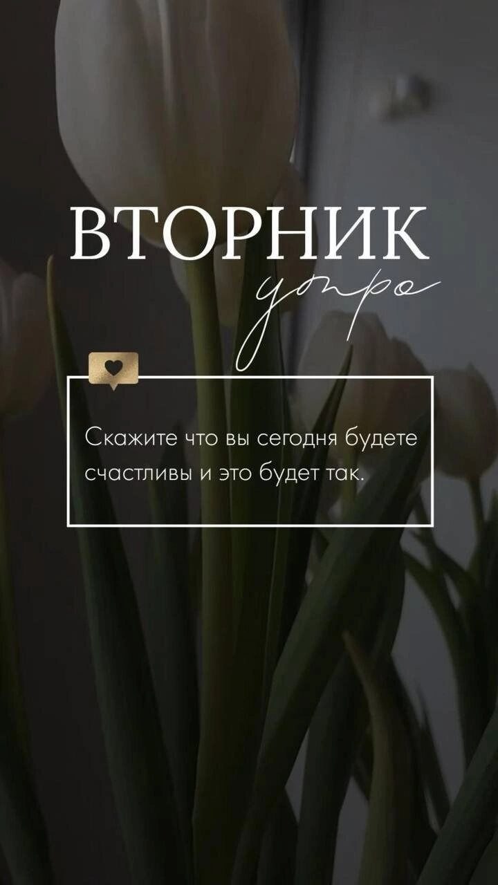 ***Victoria Viktorovna*** - 15 ������� 2024 � 03:15