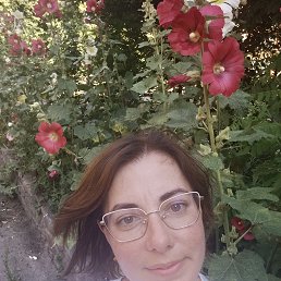 , 37 , 