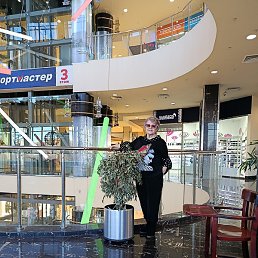 �������, ��������, 66 ���