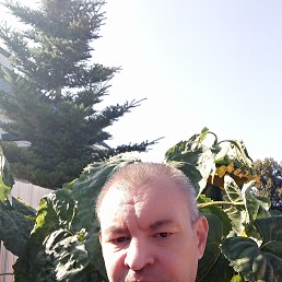 ��������, 45 ���, ������ ��������