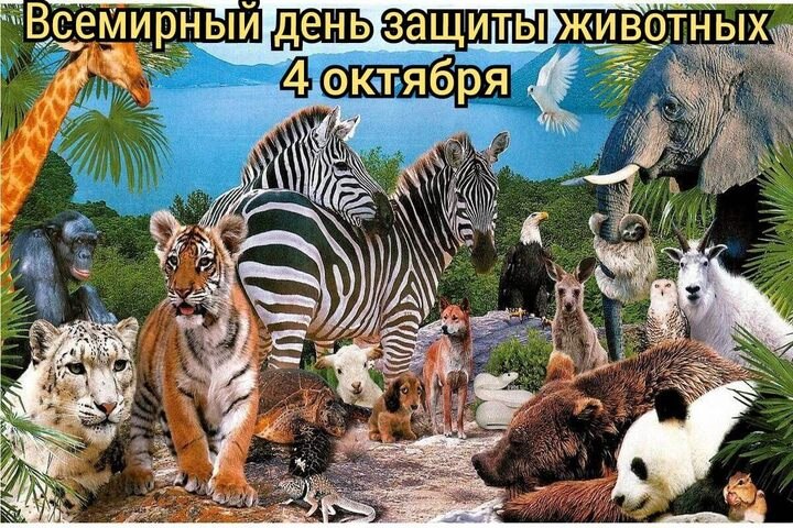 : , , , , , , , ,  - 7