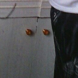 ������, �����������, 47 ���