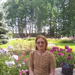 ���� �������, �����-���������, 54 ���� - ��������� 7 ������� 2024