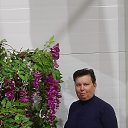 ���� ����, �������, 61 ��� - ��������� 27 �������� 2025 � ������ ���� ����������