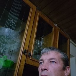 , 44, 