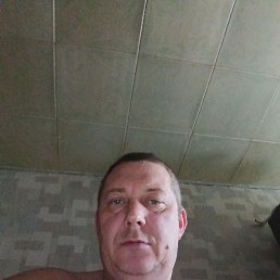 ������, 46 ���, ����