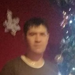 ������, ������, 40 ���