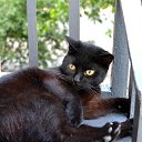 ���� Mark, ����������� - ��������� 12 ������ 2025 � ������ ������ ��������