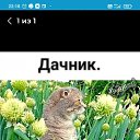 ���� �����, ������, 48 ��� - ��������� 28 ������ 2025