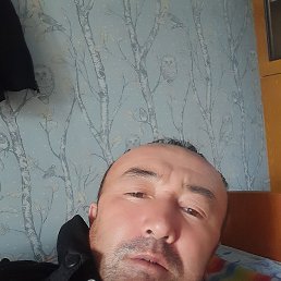 ���, �����������, 44 ����