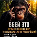 ���� Vera Ivanovna, ����� - ��������� 10 ������� 2026 � ������ ������ ��������