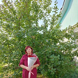 ���������, �����, 58 ���