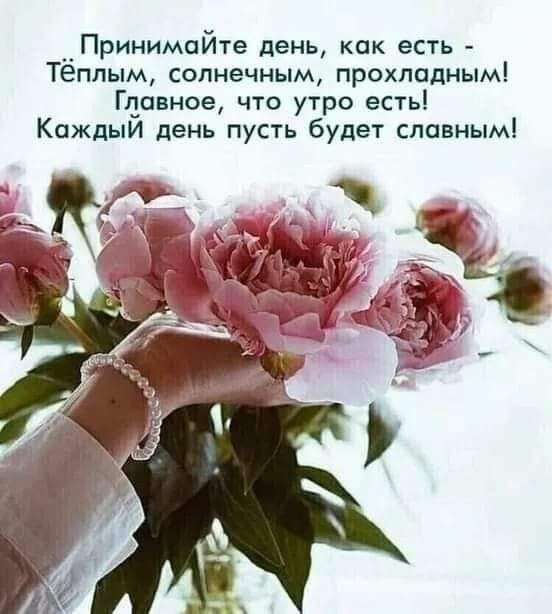 �������� ������ - 28 ��� 2026 � 09:05