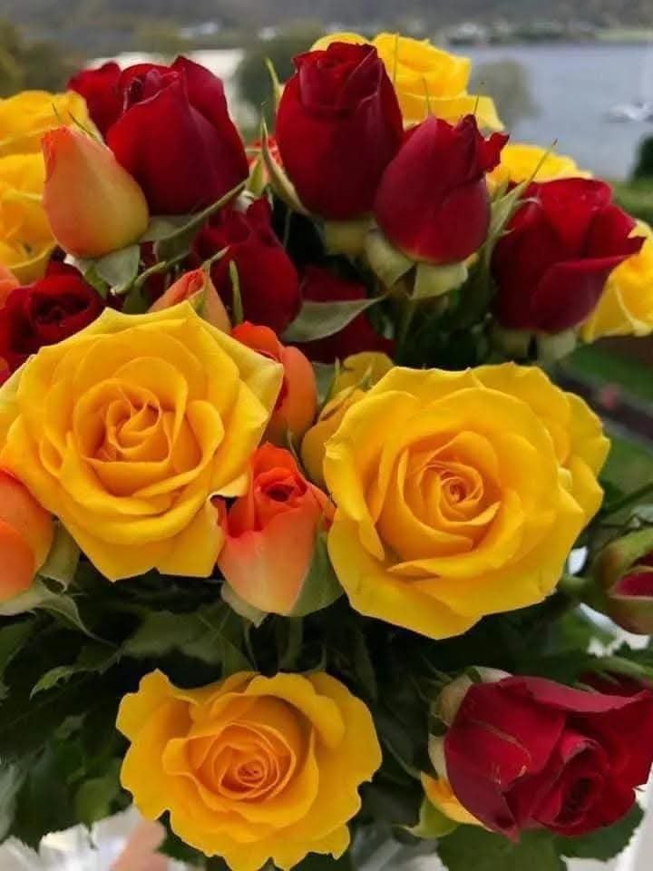 :)     ,  - ,  -  ..     ...