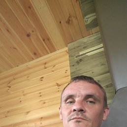 , 40, 