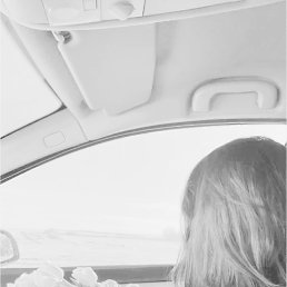 ���� ����, ������, 48 ��� - ��������� 17 ������� 2026