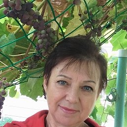 , 67, 