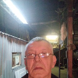 ������ �������, ���������, 66 ���