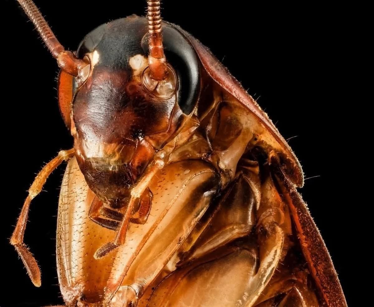 :) ������� ������������ ������ ��������� �� ����� �����. ������ ���� ������ �����������, ��� ��� ...