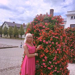 �����, �����