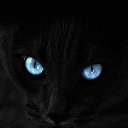 ���� �����, ����� - ��������� 25 ���� 2026 � ������ ���� ����������