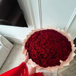 ���� ����� ������������, �����-���������, 27 ��� - ��������� 5 �������� 2026
