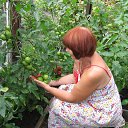 ���� ��������, ��������, 69 ��� - ��������� 1 ������� 2025 � ������ �����