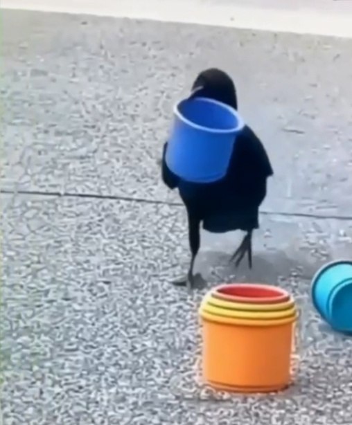   - ! - 2