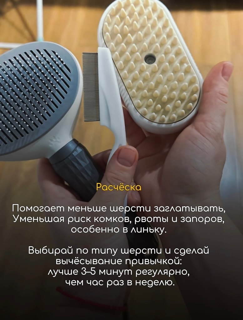 ��� �������� ��� ����-�����������, ��� ������� ��������� ����: ����, ����, ������, ������ � ��� � ... - 7