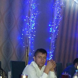 , 37, 