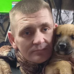 �������, �����, 40 ���