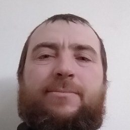 ������, �������, 41 ���