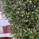 ���� �������, ���������� �����, 61 ��� - ��������� 15 ��� 2025 � ������ ���� ����������