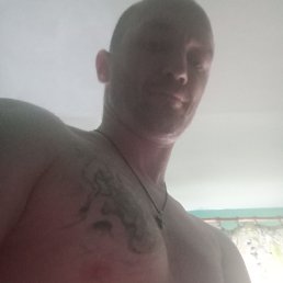 , 37, 